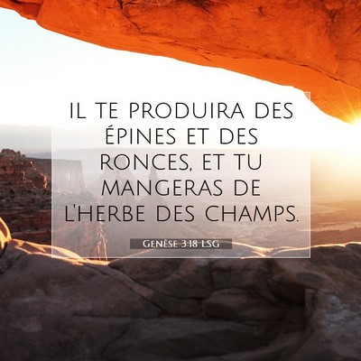 Genèse 3:18 Verset biblique expliqué