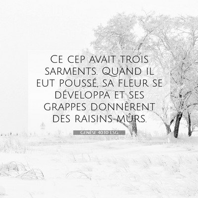 Genèse 40:10 Verset biblique expliqué