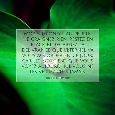 Exode 14:13 LSG Image du verset biblique