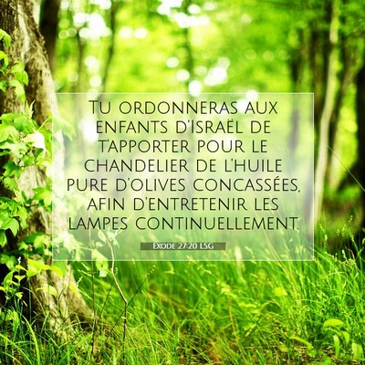 Exode 27:20 Verset biblique expliqué