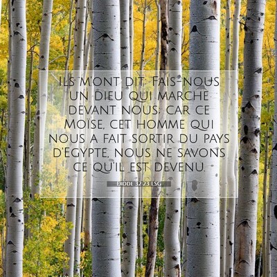Exode 32:23 Verset biblique expliqué