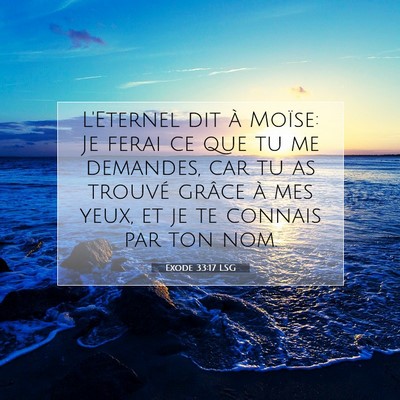 Exode 33:17 LSG Image du verset biblique