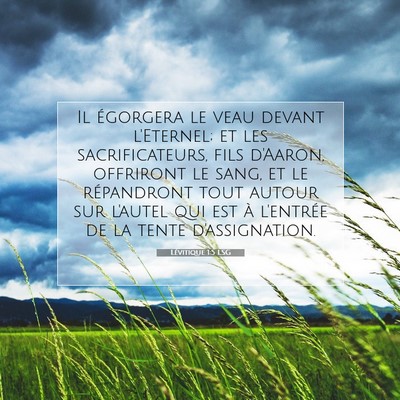 Lévitique 1:5 Verset biblique expliqué