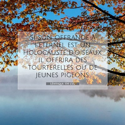 Lévitique 1:14 Verset biblique expliqué