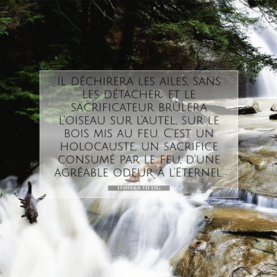 Lévitique 1:17 Verset biblique expliqué