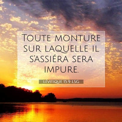 Lévitique 15:9 Verset biblique expliqué