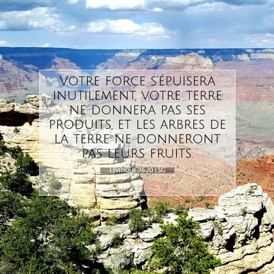 Lévitique 26:20 LSG Image du verset biblique