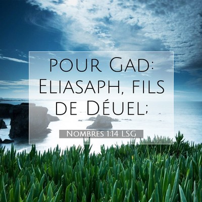 Nombres 1:14 Verset biblique expliqué