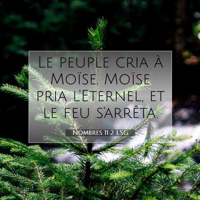 Nombres 11:2 Verset biblique expliqué