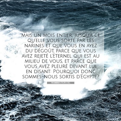 Nombres 11:20 Verset biblique expliqué