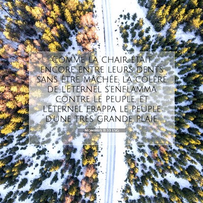 Nombres 11:33 Verset biblique expliqué