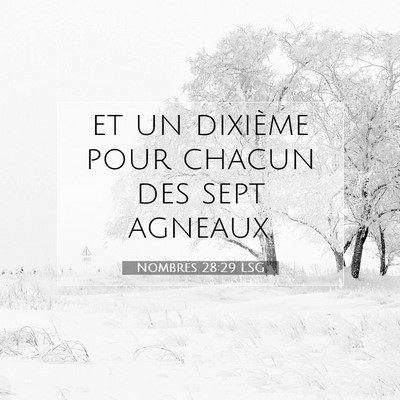 Nombres 28:29 Verset biblique expliqué