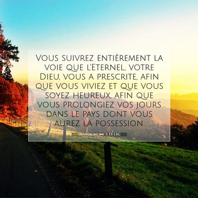 Deutéronome 5:33 LSG Image du verset biblique
