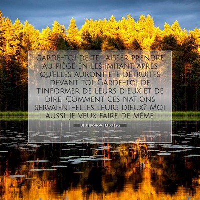 Deutéronome 12:30 LSG Image du verset biblique