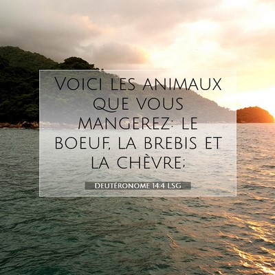 Deutéronome 14:4 Verset biblique expliqué