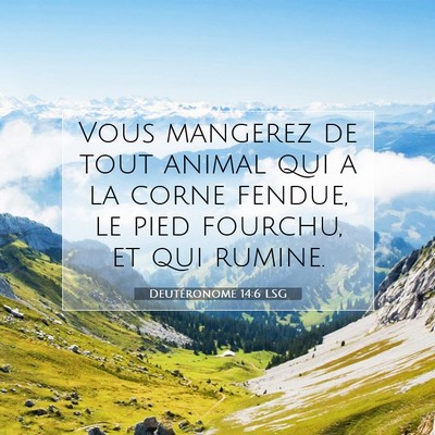 Deutéronome 14:6 Verset biblique expliqué
