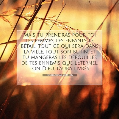 Deutéronome 20:14 LSG Image du verset biblique