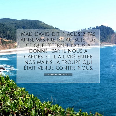 1 Samuel 30:23 Verset biblique expliqué