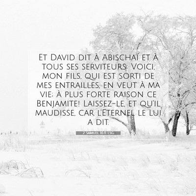 2 Samuel 16:11 Verset biblique expliqué