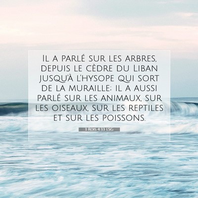 1 Rois 4:33 LSG Image du verset biblique