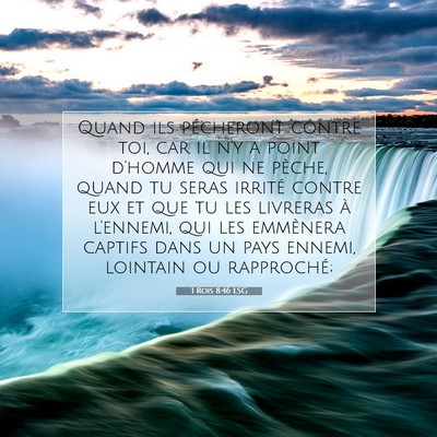 1 Rois 8:46 LSG Image du verset biblique