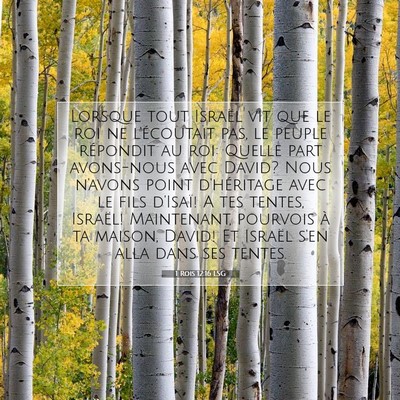 1 Rois 12:16 LSG Image du verset biblique