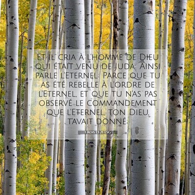 1 Rois 13:21 Verset biblique expliqué