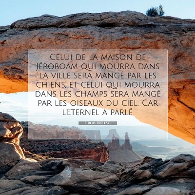 1 Rois 14:11 Verset biblique expliqué