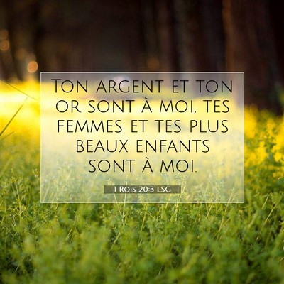 1 Rois 20:3 Verset biblique expliqué