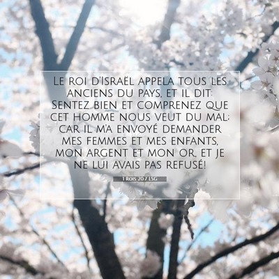 1 Rois 20:7 Verset biblique expliqué