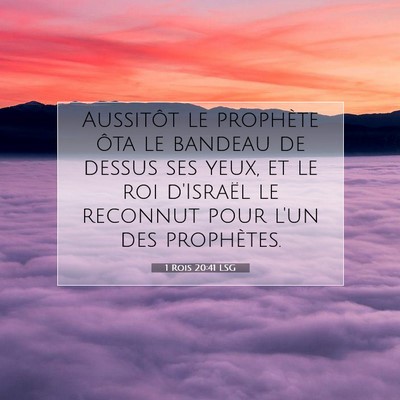 1 Rois 20:41 Verset biblique expliqué