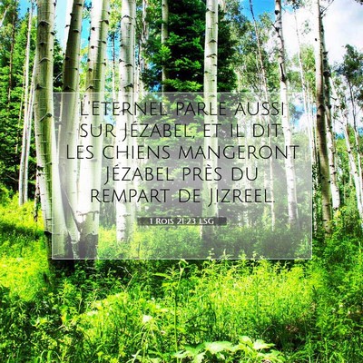1 Rois 21:23 LSG Image du verset biblique