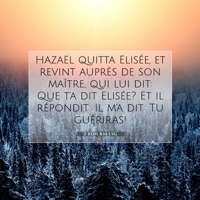 2 Rois 8:14 Verset biblique expliqué