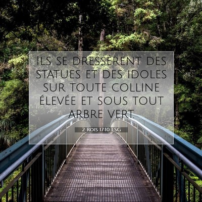 2 Rois 17:10 Verset biblique expliqué