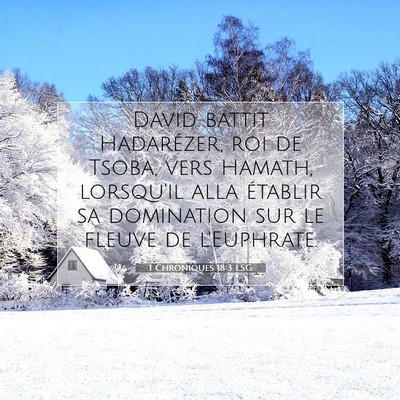 1 Chroniques 18:3 LSG Image du verset biblique