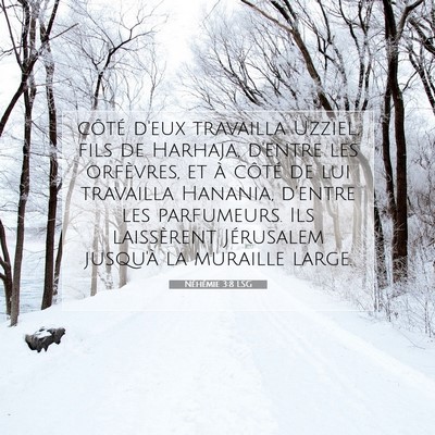 Néhémie 3:8 Verset biblique expliqué