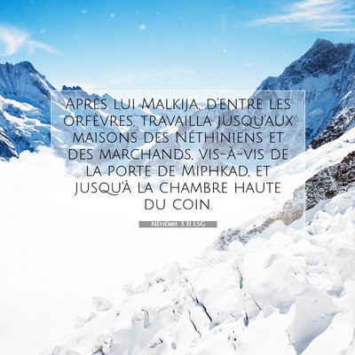 Néhémie 3:31 LSG Image du verset biblique