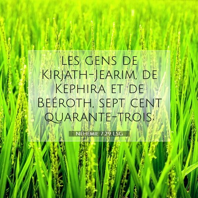 Néhémie 7:29 LSG Image du verset biblique
