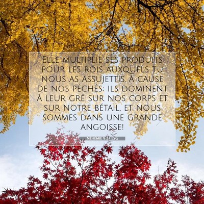 Néhémie 9:37 LSG Image du verset biblique
