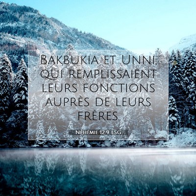 Néhémie 12:9 Verset biblique expliqué