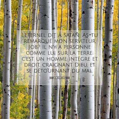 Job 1:8 Verset biblique expliqué