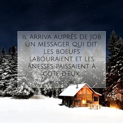 Job 1:14 Verset biblique expliqué