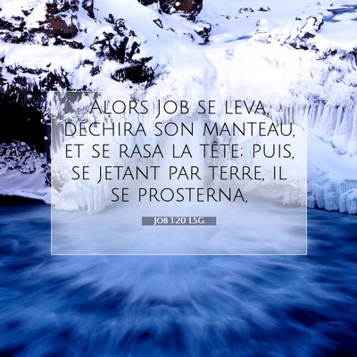 Job 1:20 Verset biblique expliqué