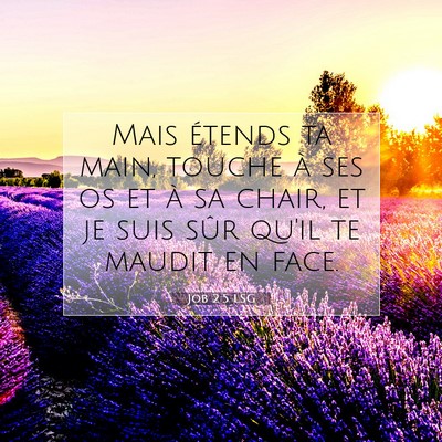 Job 2:5 LSG Image du verset biblique