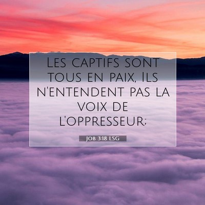 Job 3:18 LSG Image du verset biblique