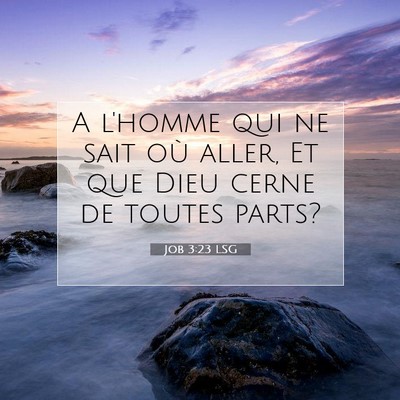 Job 3:23 LSG Image du verset biblique