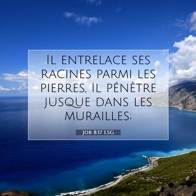 Job 8:17 Verset biblique expliqué