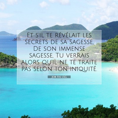 Job 11:6 LSG Image du verset biblique