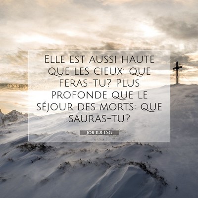 Job 11:8 Verset biblique expliqué