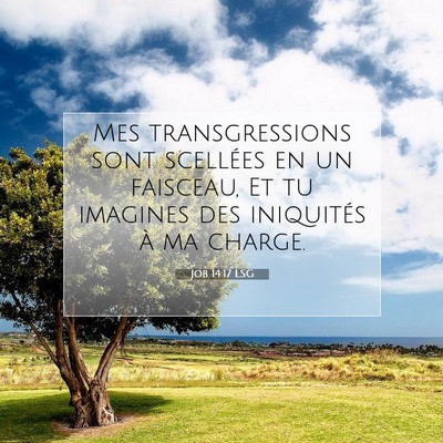 Job 14:17 Verset biblique expliqué